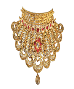 IMG-20231217-WA0048-removebg-preview