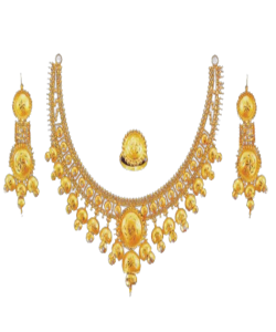 IMG-20231217-WA0050-removebg-preview