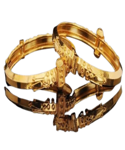 IMG-20231217-WA0051-removebg-preview