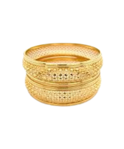 IMG-20231217-WA0054-removebg-preview